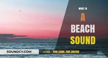 Exploring the Soothing and Serene Sounds of a Beach Environment