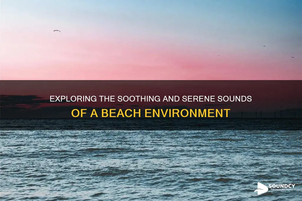 what is a beach sound