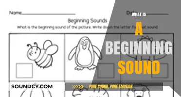 Mastering Beginning Sounds: A Fun Guide to Phonics for Early Readers