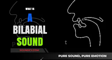 Understanding Bilabial Sounds: Definition, Examples, and Role in Speech