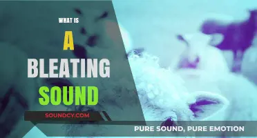 Understanding the Bleating Sound: Origins, Animals, and Its Unique Meaning