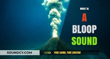 Unraveling the Mystery: What is a Bloop Sound in the Ocean?