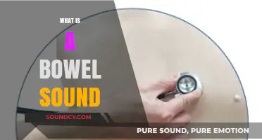 Understanding Bowel Sounds: What They Are and Why They Matter