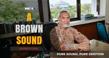Unveiling the Mystery: Understanding the Brown Sound Phenomenon