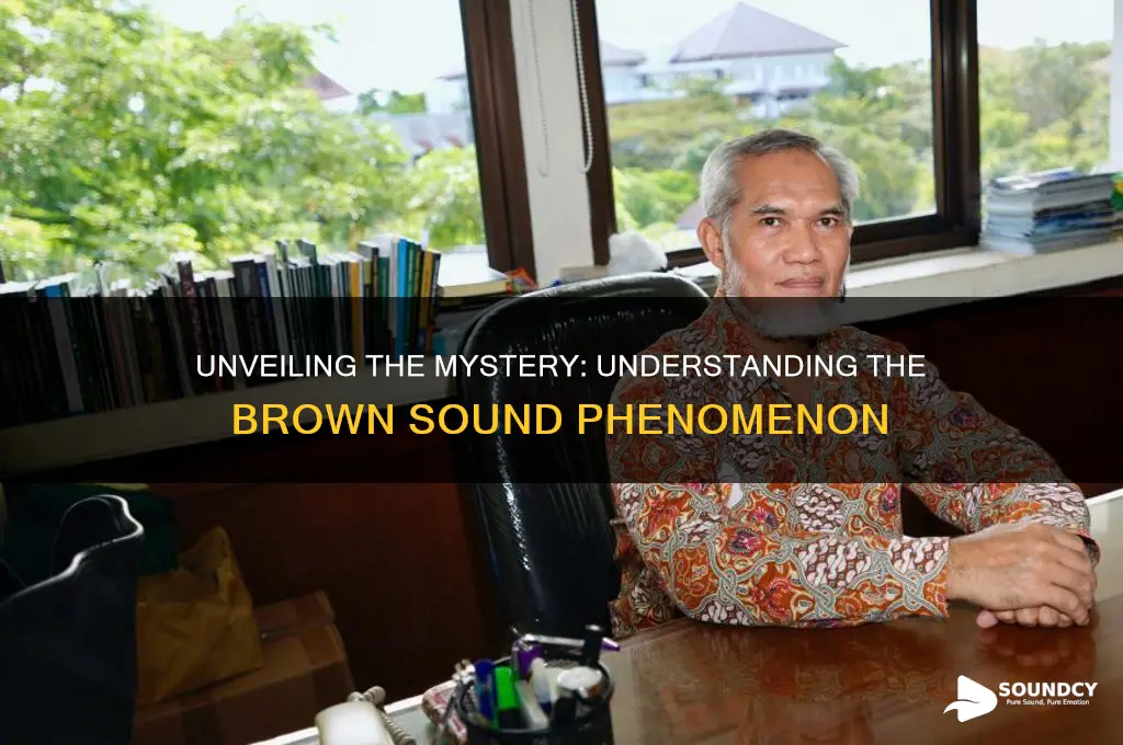 what is a brown sound