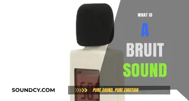 Understanding Bruit Sounds: Causes, Detection, and Medical Significance Explained