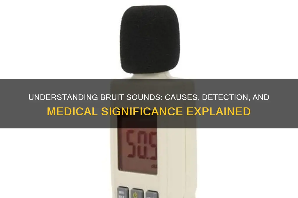 what is a bruit sound