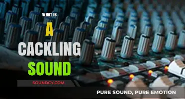 Understanding the Unique Cackling Sound: Origins, Meanings, and Examples
