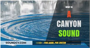 Exploring the Mystical Echo: Understanding the Phenomenon of Canyon Sound