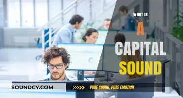 Exploring the Meaning and Impact of a Capital Sound