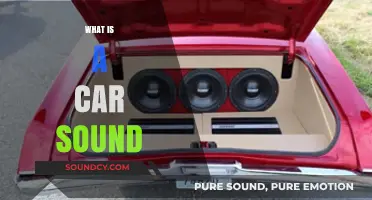 Understanding Car Sounds: A Comprehensive Guide to Vehicle Noises