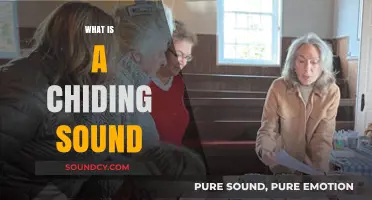Understanding the Chiding Sound: Meaning, Examples, and Cultural Context