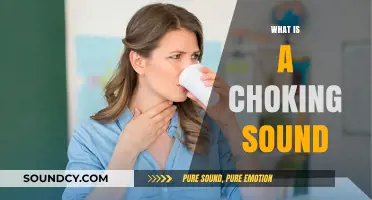 Understanding the Choking Sound: Causes, Symptoms, and Immediate Actions