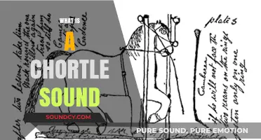 Understanding the Chortle: A Unique Sound's Meaning and Origins
