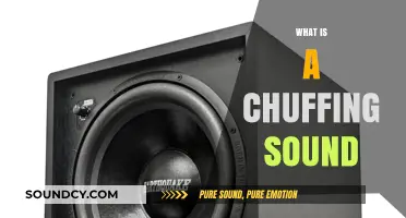 Understanding the Chuffing Sound: Causes, Meanings, and Common Sources