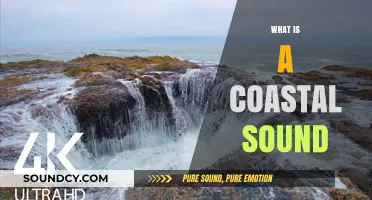 Exploring Coastal Sounds: Nature's Unique Audio Along Shorelines