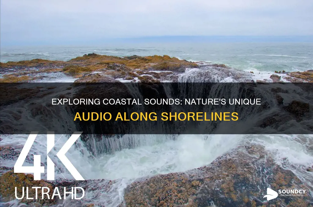 what is a coastal sound
