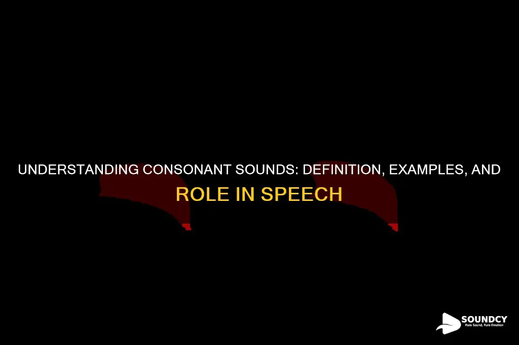 what is a consanant sound