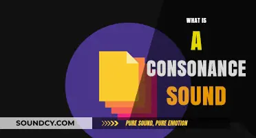 Understanding Consonance: The Subtle Art of Repeated Consonant Sounds in Speech
