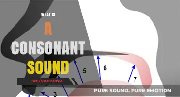 Understanding Consonant Sounds: A Comprehensive Guide to Speech Mechanics