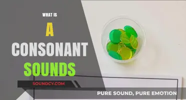 Understanding Consonant Sounds: A Comprehensive Guide to Speech Mechanics