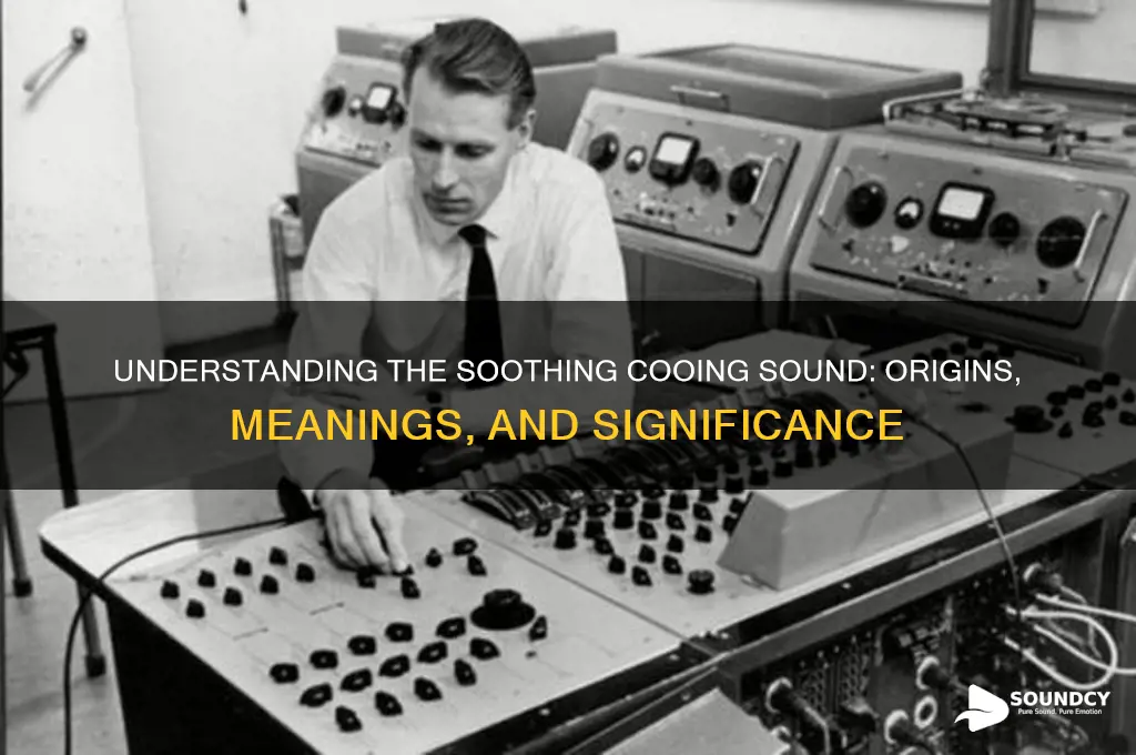 what is a cooing sound