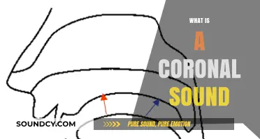 Understanding Coronal Sounds: A Comprehensive Guide to Their Role in Speech