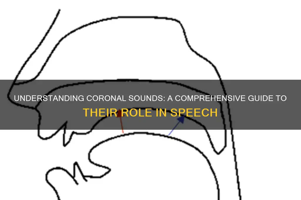 what is a coronal sound