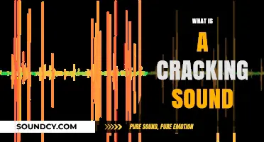 Understanding the Science Behind Cracking Sounds: Causes and Implications