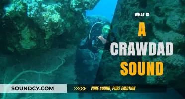 Unveiling the Unique Sounds of Crawdads: A Deep Dive