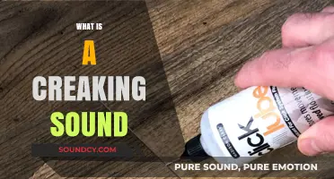 Understanding Creaking Sounds: Causes, Solutions, and When to Worry