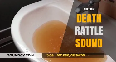 The Death Rattle Sound: What Does It Mean?