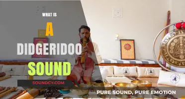 Unveiling the Mystical Didgeridoo Sound: Origins, Techniques, and Unique Resonance
