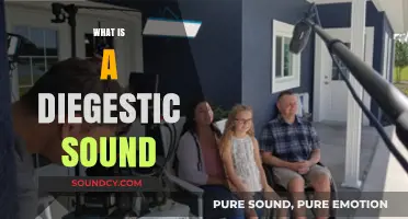 Understanding Diegetic Sound: Its Role and Impact in Film and Media