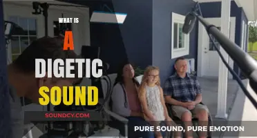 Understanding Diegetic Sound: Its Role and Impact in Film and Media