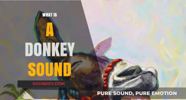 Understanding the Unique Donkey Sound: What Does a Donkey Say?
