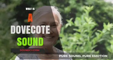 Unveiling the Mystique of Dovecote Sounds: A Comprehensive Exploration