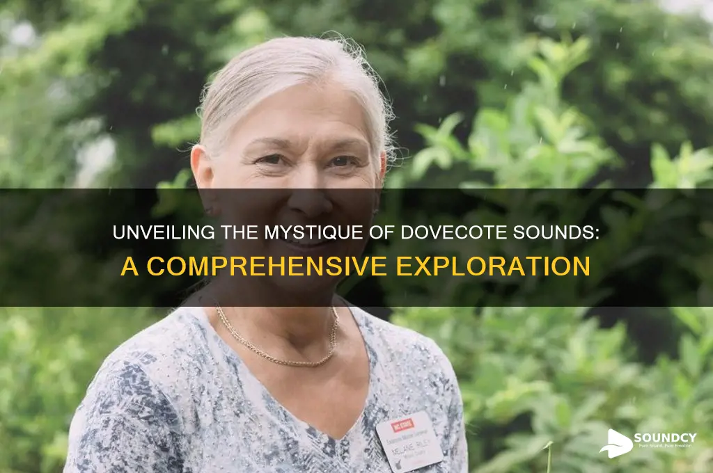 what is a dovecote sound
