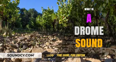 Understanding Drome Sounds: Origins, Characteristics, and Real-World Applications
