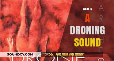 Understanding the Persistent and Monotonous Droning Sound: Causes and Effects