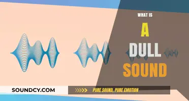 Understanding Dull Sounds: Causes, Characteristics, and Common Examples Explained