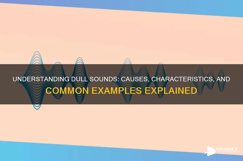 what is a dull sound