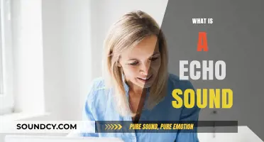 Understanding Echo Sound: Definition, Function, and Real-World Applications