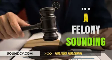 Understanding Felony Sounding: Definition, Implications, and Legal Consequences Explained