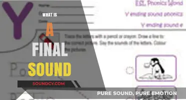 Understanding Final Sounds: A Comprehensive Guide to Phonetics and Pronunciation