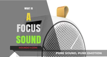Understanding Focus Sounds: Definition, Purpose, and Practical Applications