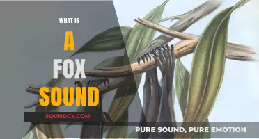 Unveiling the Unique Vocalizations: What is a Fox Sound?