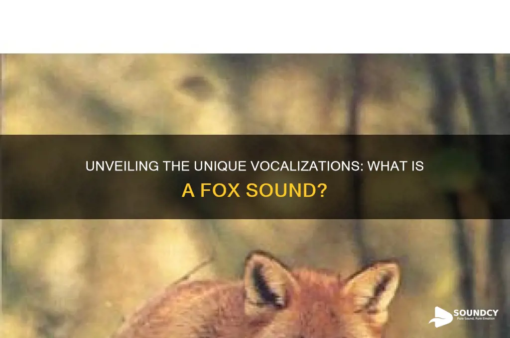 what is a fox sound
