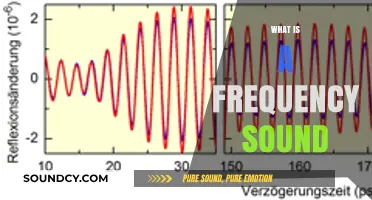 Understanding Frequency Sound: Definition, Measurement, and Real-World Applications