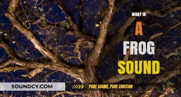 Understanding the Unique Sounds of Frogs: A Comprehensive Guide